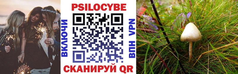 Галлюциногенные грибы Magic Shrooms  наркошоп  Кондопога 